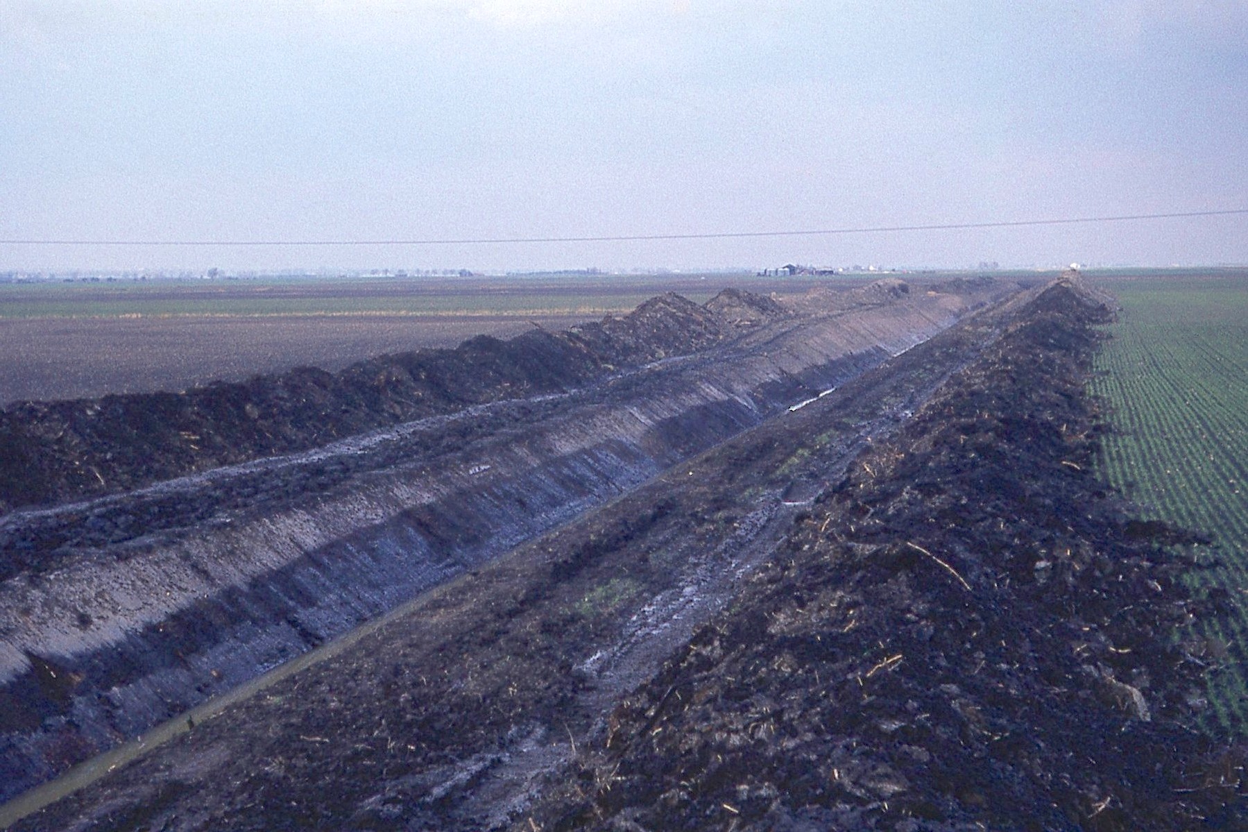 Dyke Section, note the thick lower peat layer and a marine silt roddon in the distance